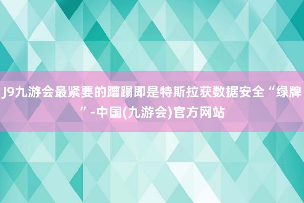 J9九游会最紧要的蹧蹋即是特斯拉获数据安全“绿牌”-中国(九游会)官方网站