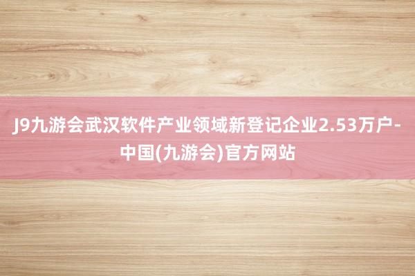 J9九游会武汉软件产业领域新登记企业2.53万户-中国(九游会)官方网站